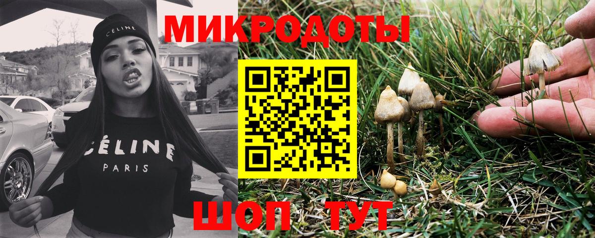 Псилоцибиновые грибы Psilocybine cubensis  Вход с VPN  Бахчисарай 