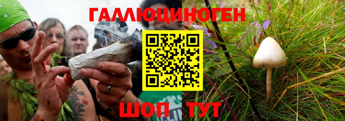 Псилоцибиновые грибы ЛСД Бахчисарай